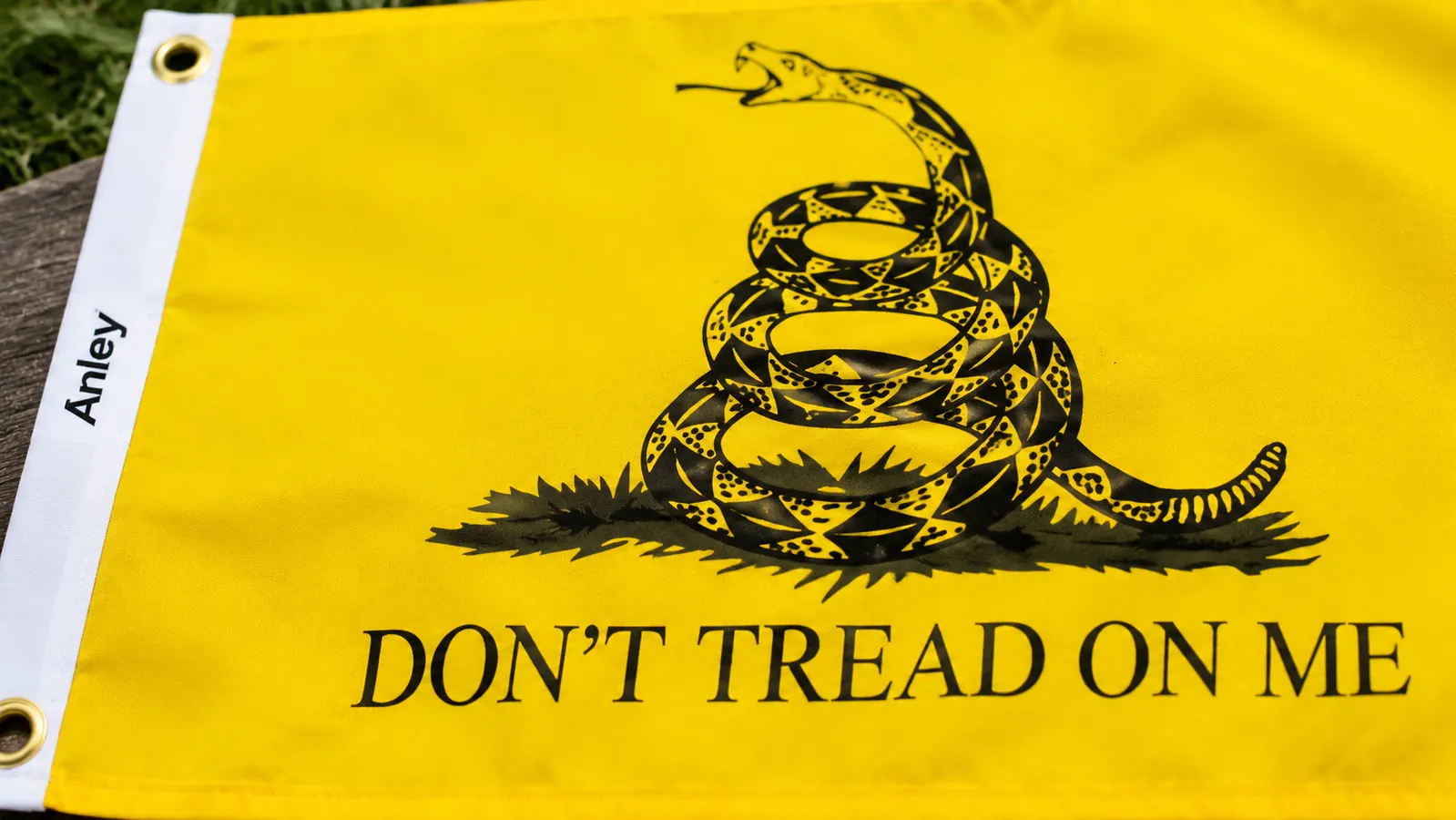 Close-up of the Gadsden flag's coiled rattlesnake design against bright yellow fabric, flag grommets visible