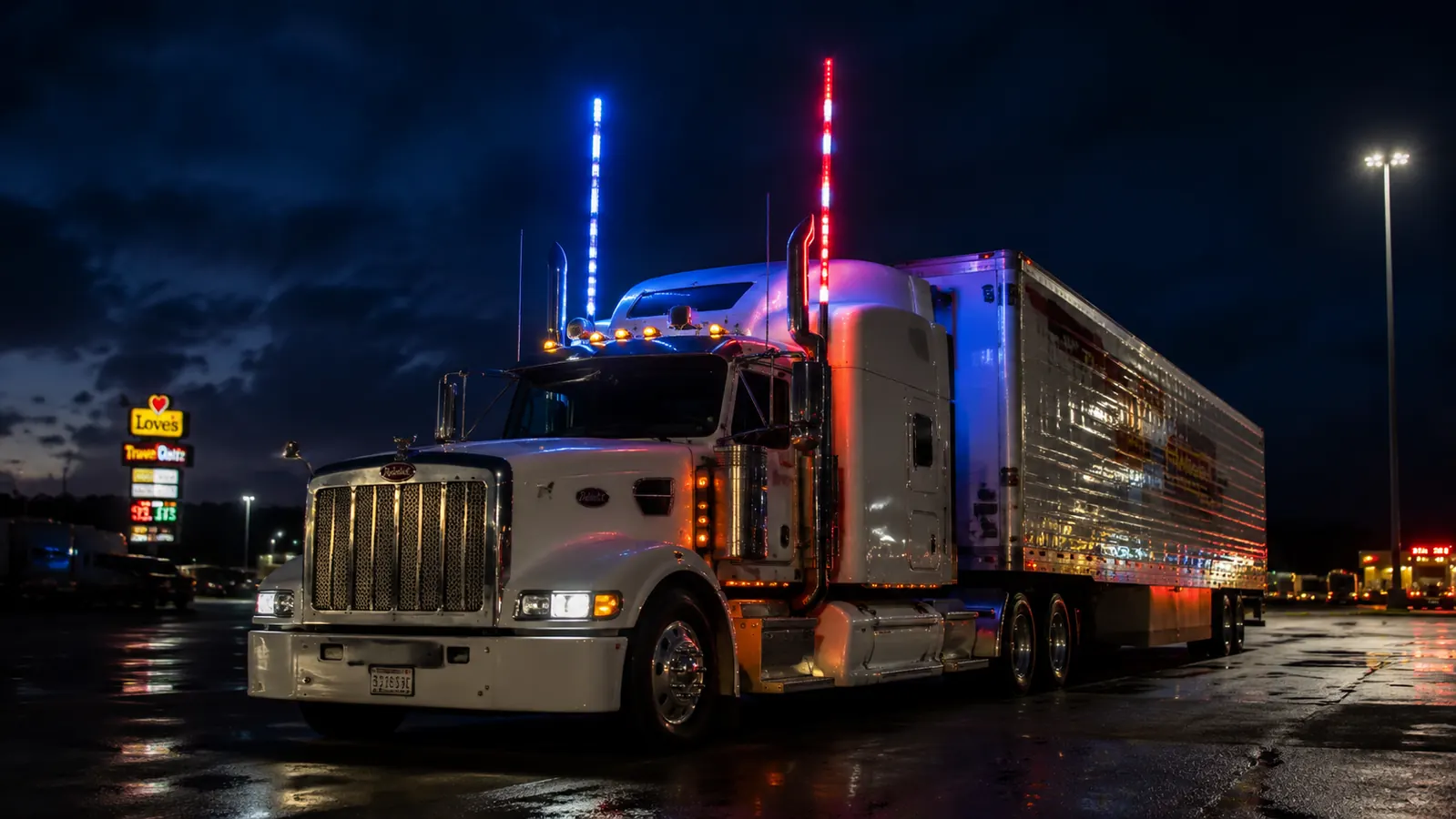 True Mods LED Whip vs Nirider Whip Lights: Which Flag Pole Light Survives the Long Haul?